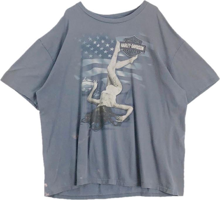 HARLEY-DAVIDSONプリントTシャツ