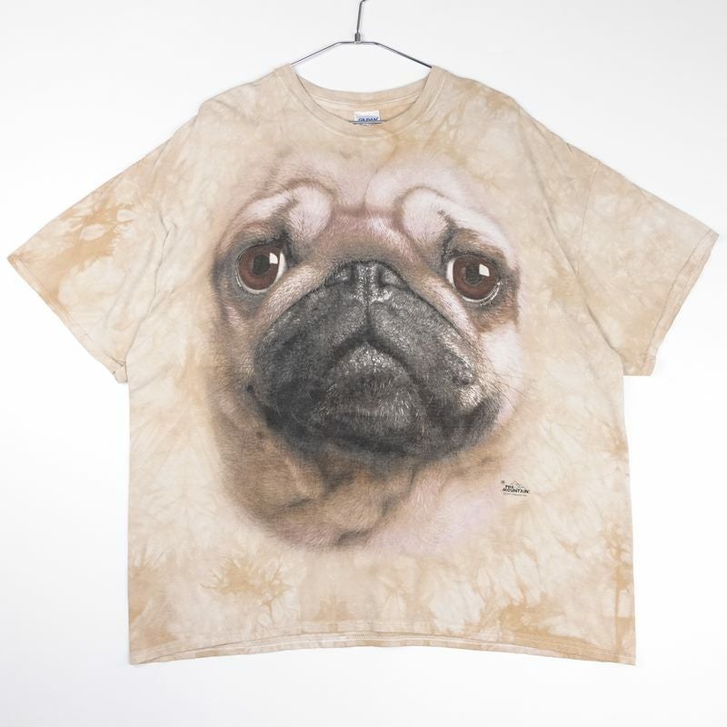 古着のギルダンイヌプリント Tシャツ