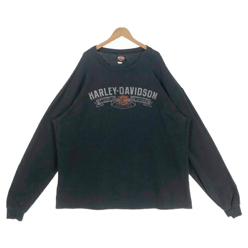 古着 USA製 HARLEY-DAVIDSON 袖プリント ロンT | Flamingo Online 古着