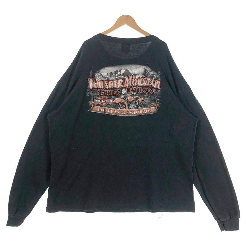 古着 HARLEY-DAVIDSON サーマルロンT | Flamingo Online 古着屋