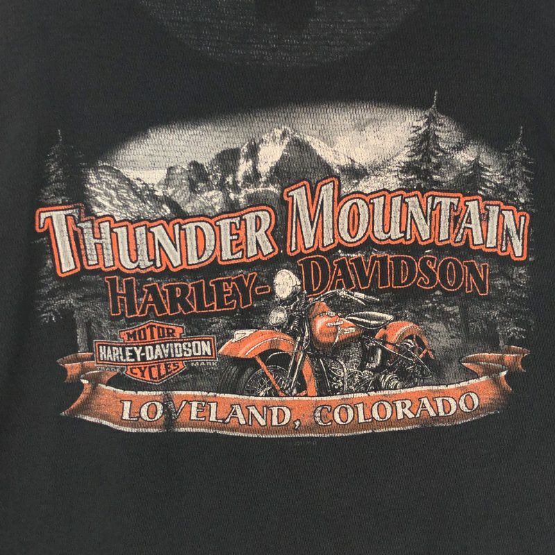 古着 HARLEY-DAVIDSON サーマルロンT | Flamingo Online 古着屋