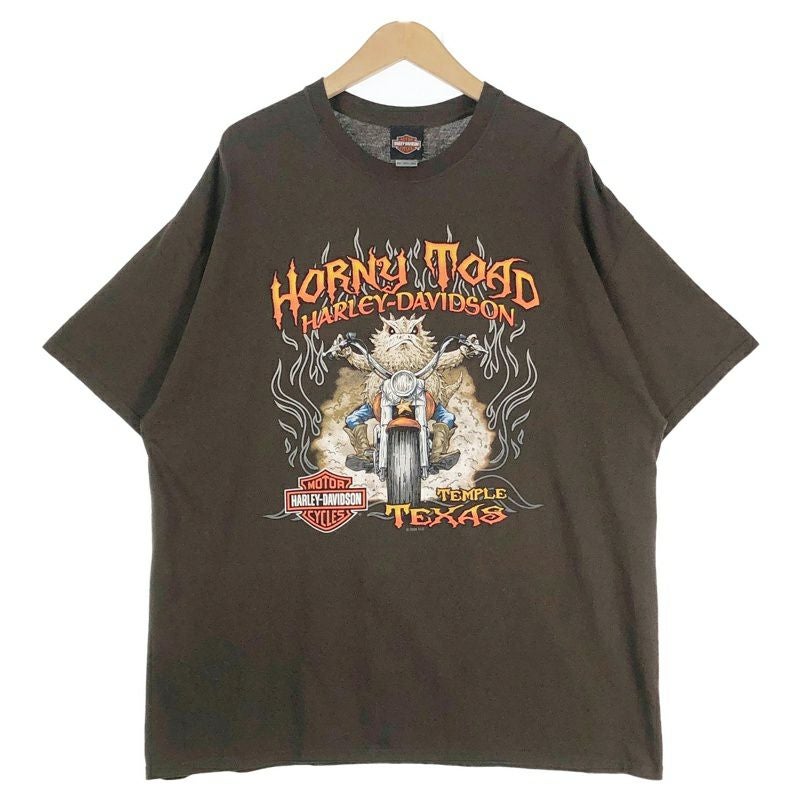 古着 HARLEY-DAVIDSON トカゲプリント Tシャツ | Flamingo Online 古着