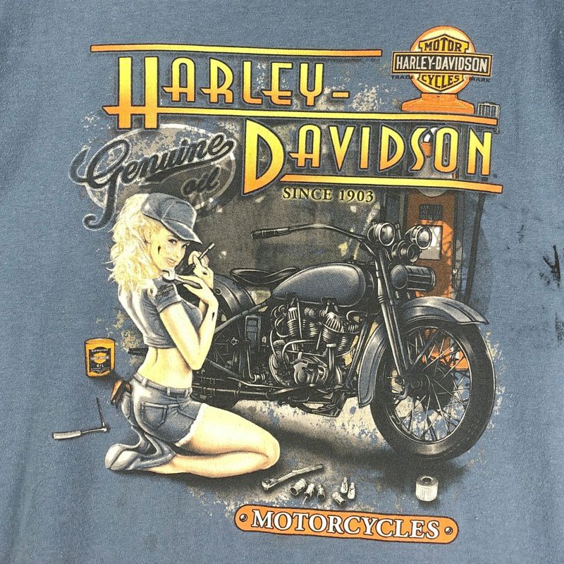 古着 HARLEY-DAVIDSON ピンナップガール Tシャツ | Flamingo Online