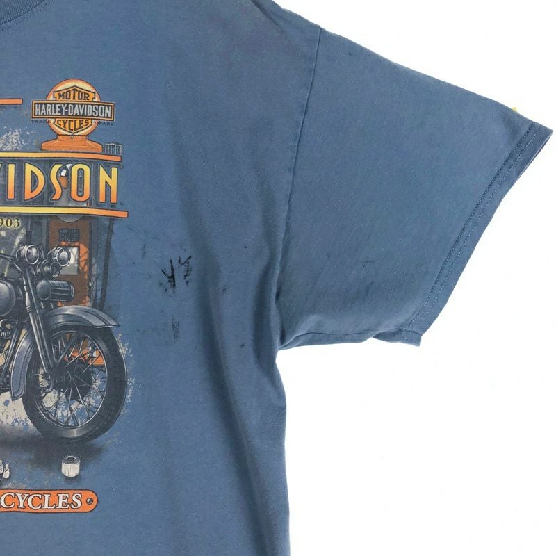 古着 HARLEY-DAVIDSON ピンナップガール Tシャツ | Flamingo Online