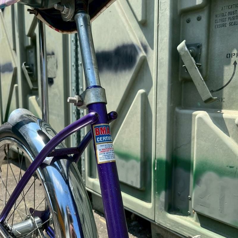70s MURRAY wild cat vintage bicycle USA.made | Flamingo Online