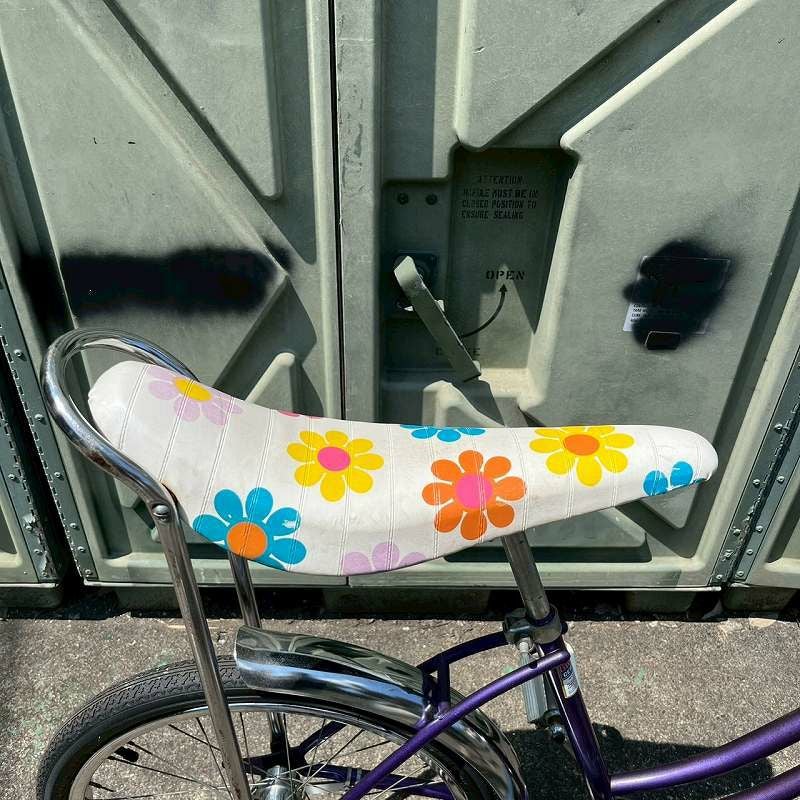 70s MURRAY wild cat vintage bicycle USA.made | Flamingo Online