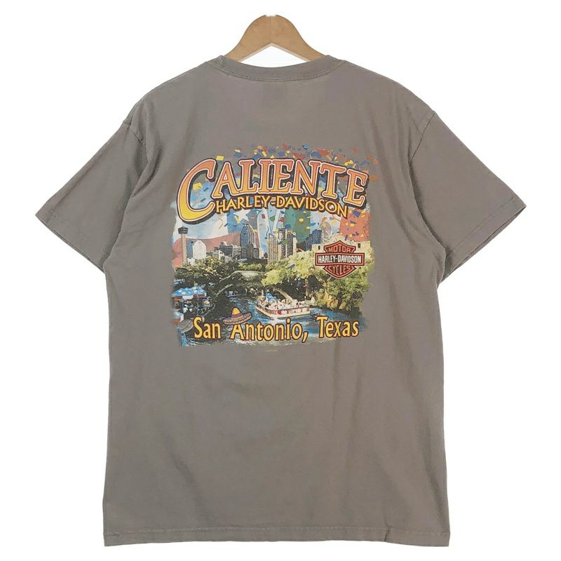 古着 HARLEY-DAVIDSON ピンナップガール Tシャツ | Flamingo Online