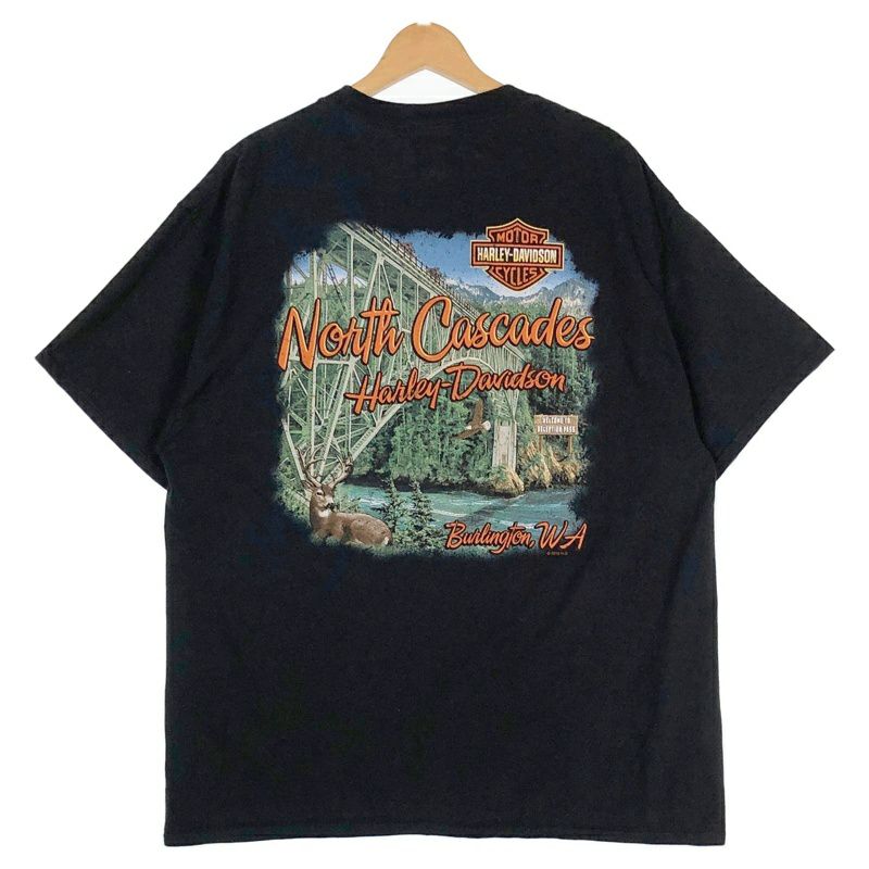 古着 HARLEY-DAVIDSON ファイヤープリントTシャツ | Flamingo Online