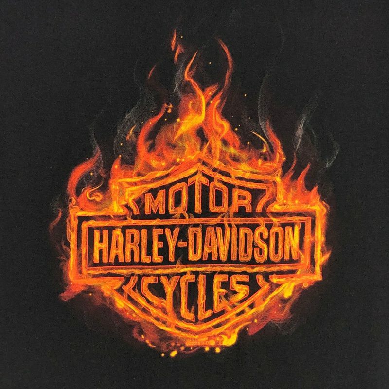 古着 HARLEY-DAVIDSON ファイヤープリントTシャツ | Flamingo Online