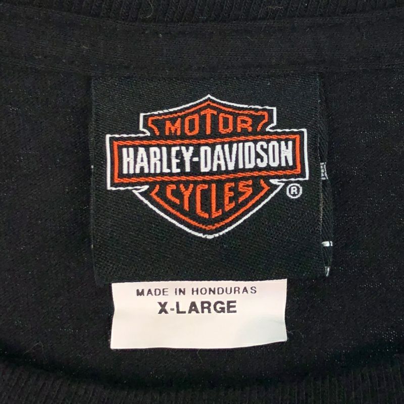 古着 HARLEY-DAVIDSON ファイヤープリントTシャツ | Flamingo Online