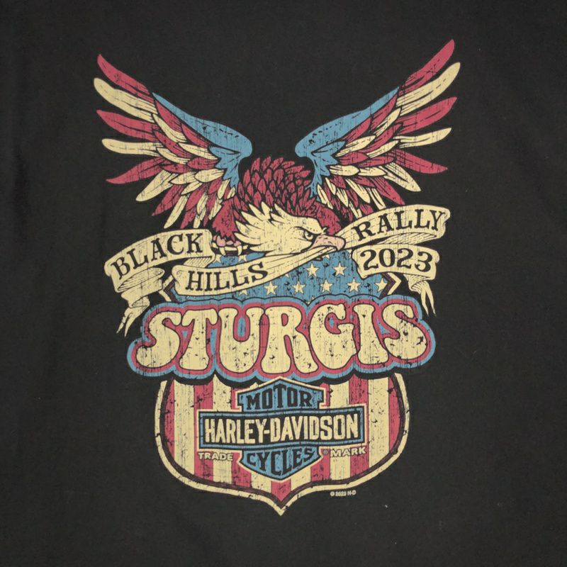 古着 HARLEY-DAVIDSON イーグルプリント Tシャツ | Flamingo Online