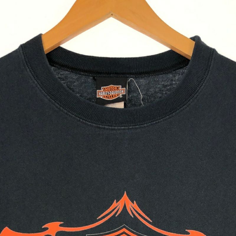 ネコさま専用 Harley Davidson サンダー ロンT Tシャツ 333 HARLEY DAVIDSON ロンT 長袖 Tシャツ ハーレーダビッドソン 美品