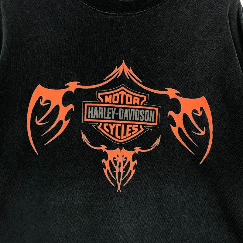 ネコさま専用 Harley Davidson サンダー ロンT Tシャツ USED】 HARLEY-DAVIDSON Tie-Dye Damage Tee / 260