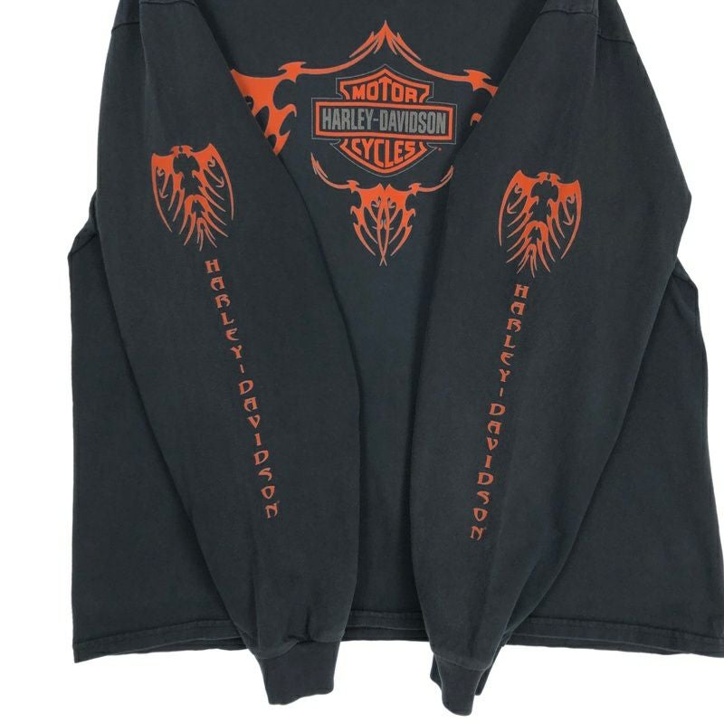 ネコさま専用 Harley Davidson サンダー ロンT Tシャツ USED】 HARLEY-DAVIDSON Tie-Dye Damage Tee / 260