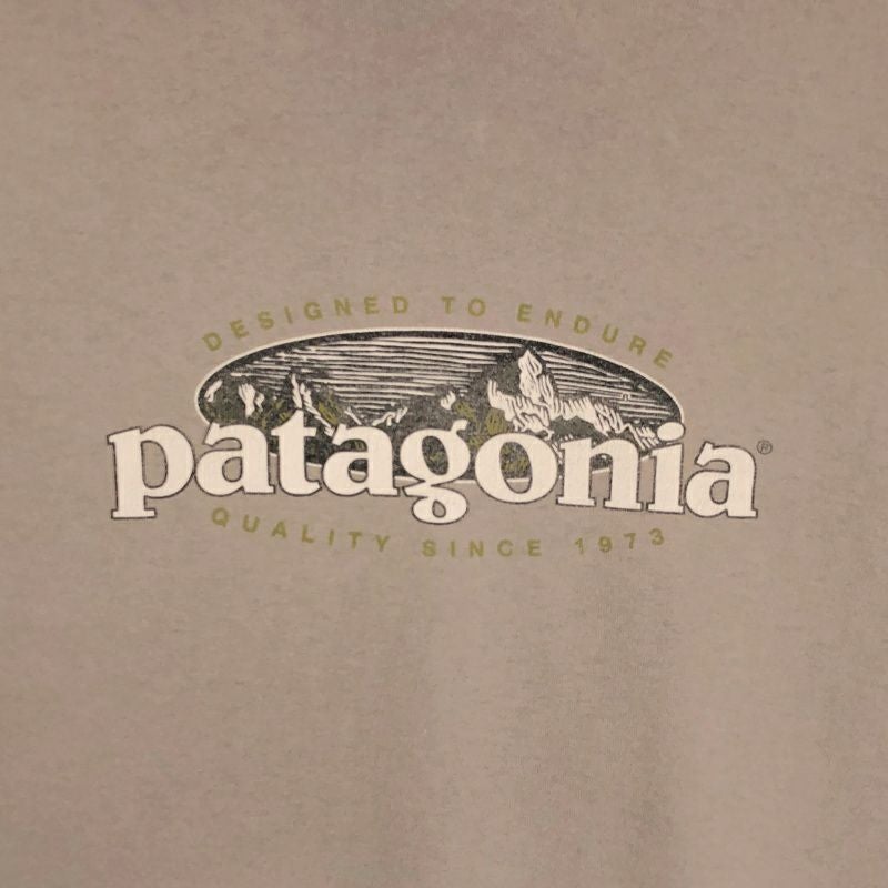 古着 USA製 90s patagonia Beneficial T's プリントロンT | Flamingo