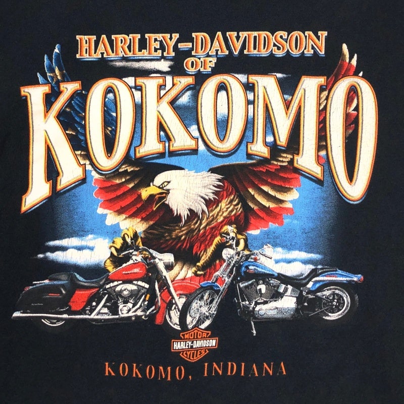 美品古着 Harley-DavidsonファイヤーフレイムUSA製 A 古着 HARLEY-DAVIDSON フレイムプリント ロンT | Flamingo Online 古着