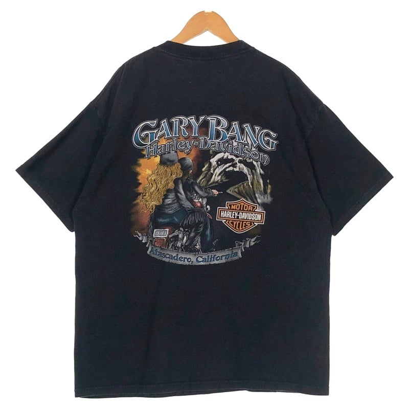 古着 USA製 HARLEY-DAVIDSON イーグルTシャツ | Flamingo Online 古着