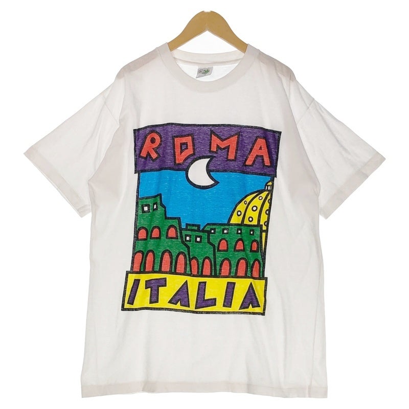 古着 90s TEXAS アート プリントTシャツ | Flamingo Online 古着屋