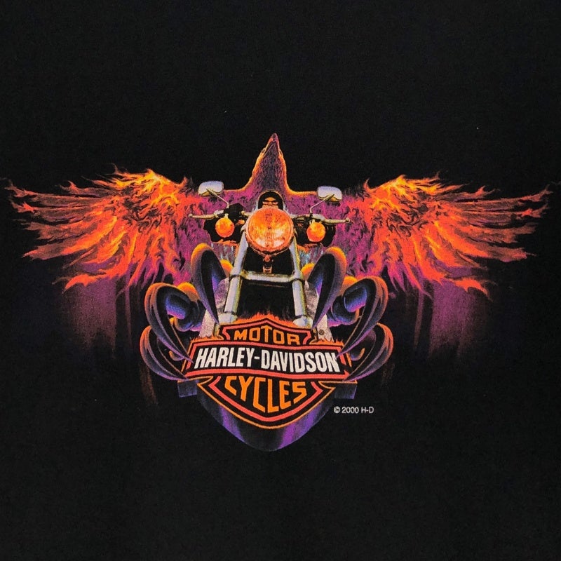 古着 USA製 HARLEY-DAVIDSON コンドル プリント Tシャツ | Flamingo