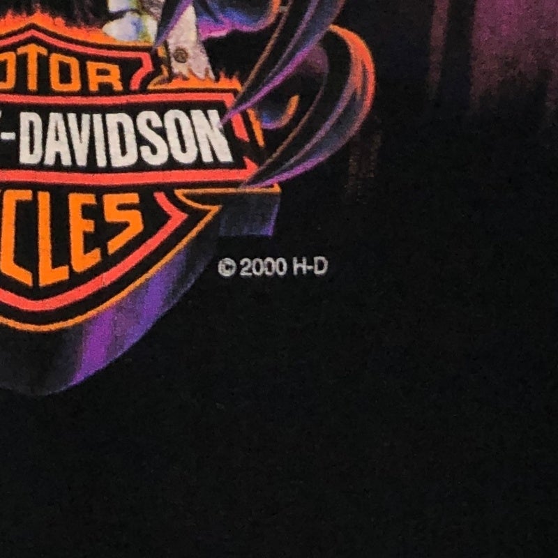 古着 USA製 HARLEY-DAVIDSON コンドル プリント Tシャツ | Flamingo