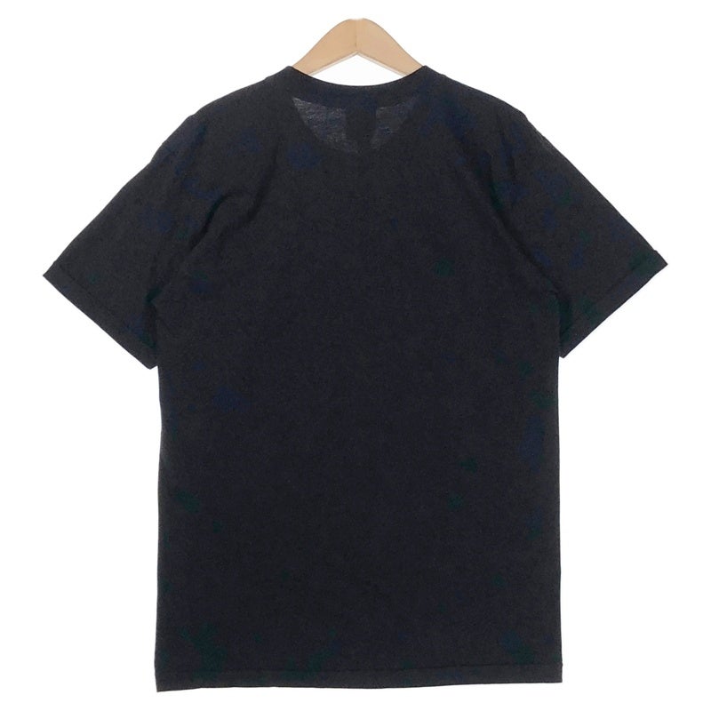 HARLEY-DAVIDSON FREEDOM IN THE WINDイーグル プリントTシャツ