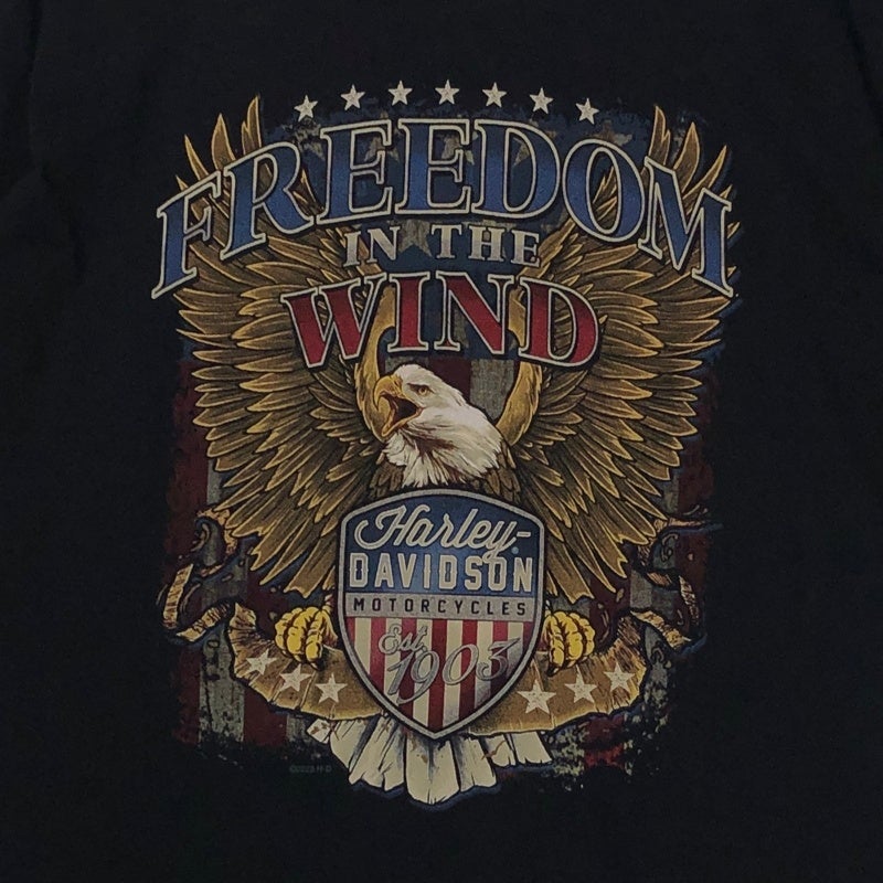 HARLEY-DAVIDSON FREEDOM IN THE WINDイーグル プリントTシャツ