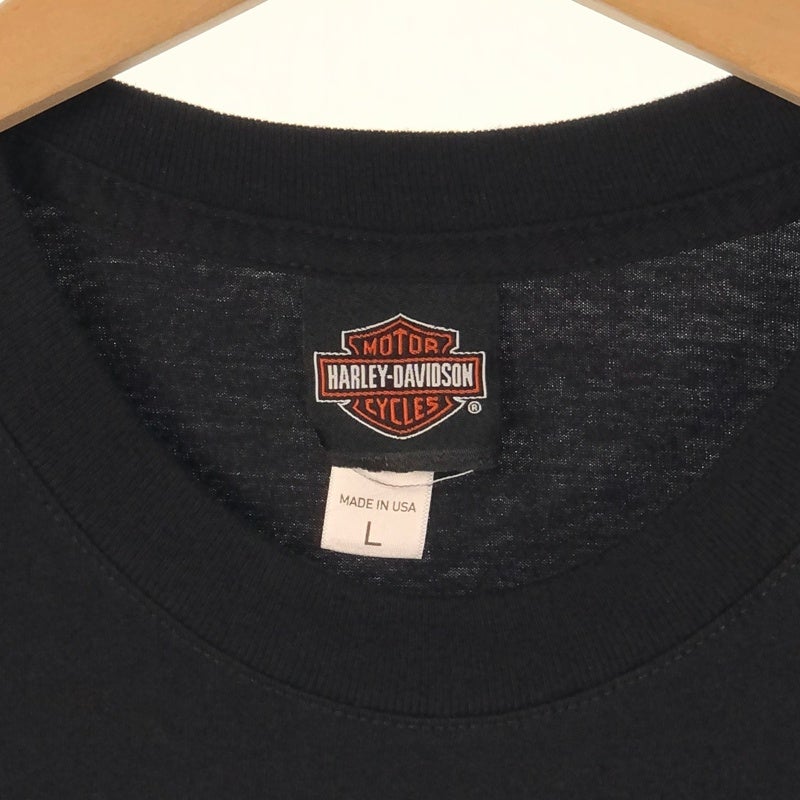 HARLEY-DAVIDSON FREEDOM IN THE WINDイーグル プリントTシャツ