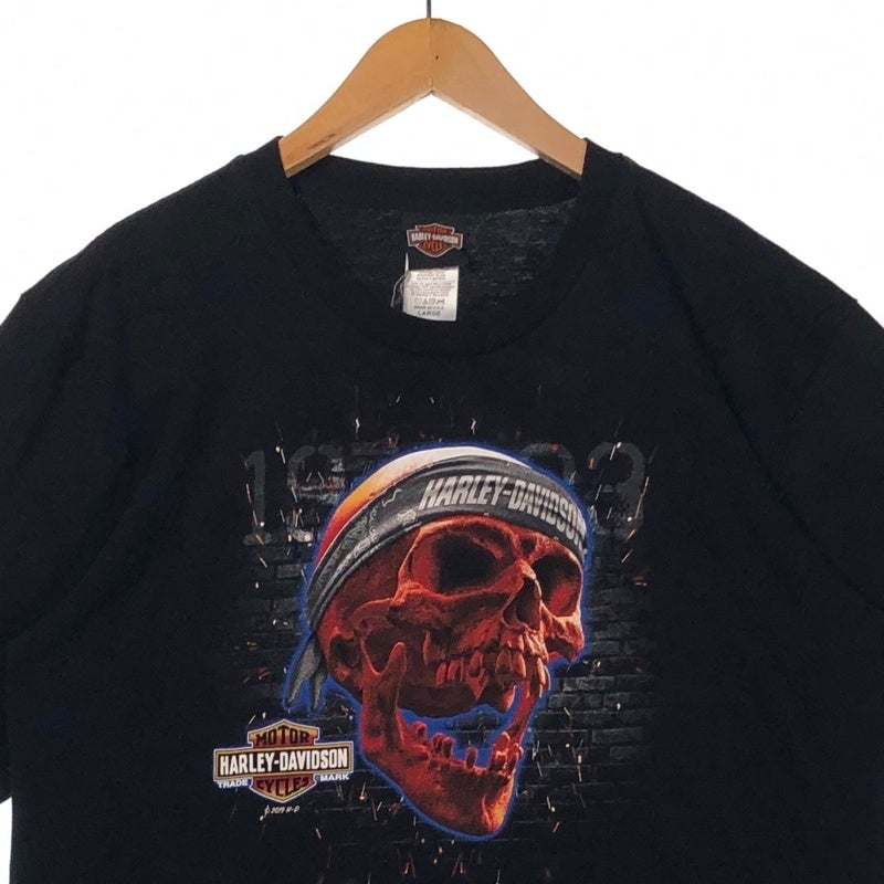 HARLEY-DAVIDSON バンダナスカル プリントTシャツ | Flamingo Online