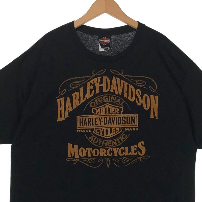 HARLEY-DAVIDSON ロゴグラフィック プリントTシャツ | Flamingo Online