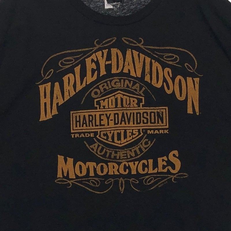 HARLEY-DAVIDSON ロゴグラフィック プリントTシャツ | Flamingo Online