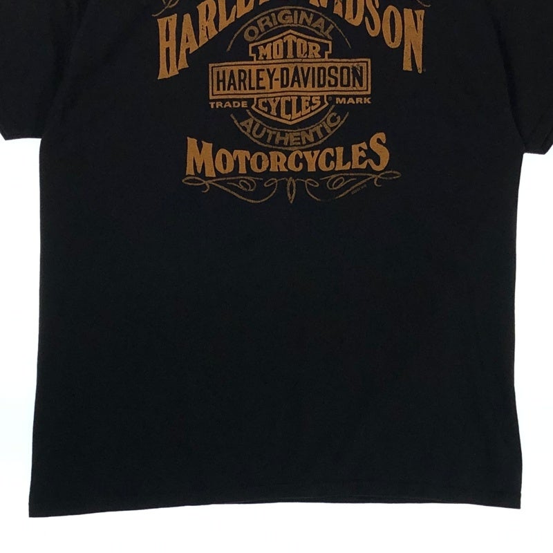 HARLEY-DAVIDSON ロゴグラフィック プリントTシャツ | Flamingo Online