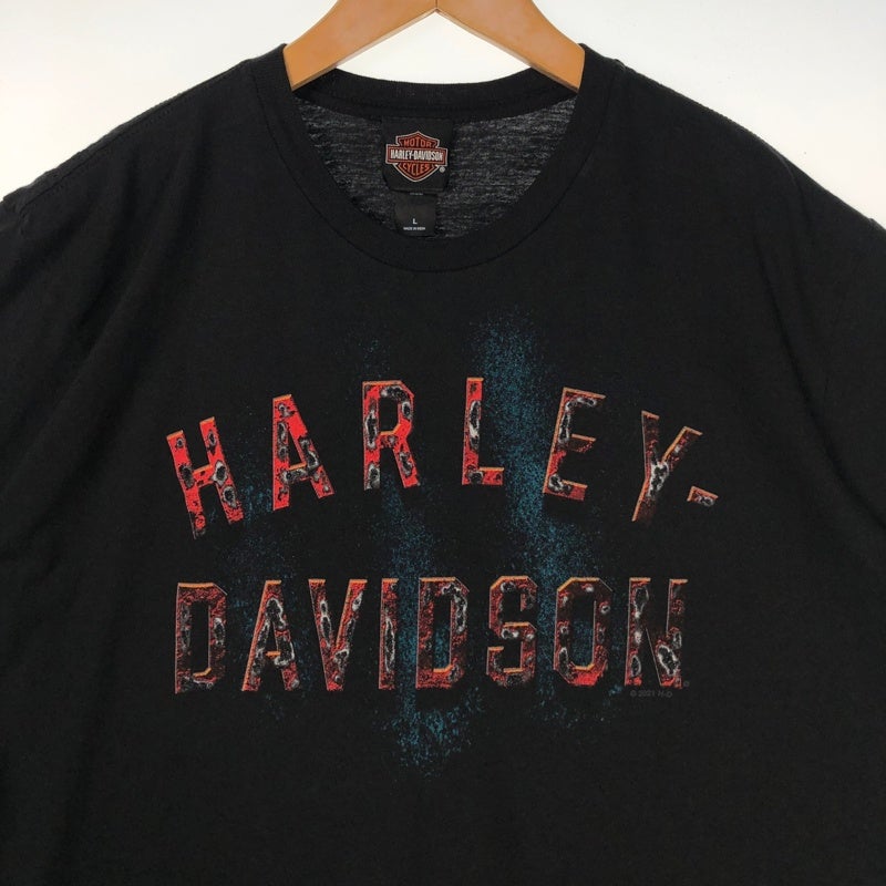 HARLEY-DAVIDSON グラフィックロゴ プリントTシャツ | Flamingo Online