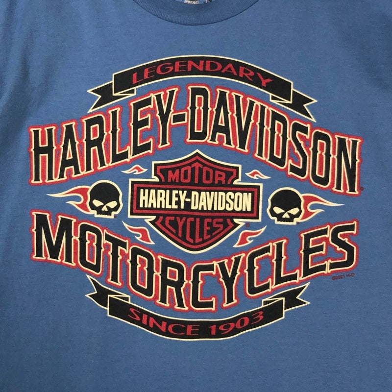 HARLEY-DAVIDSON スカルプリント ロゴ Tシャツ | Flamingo Online 古着