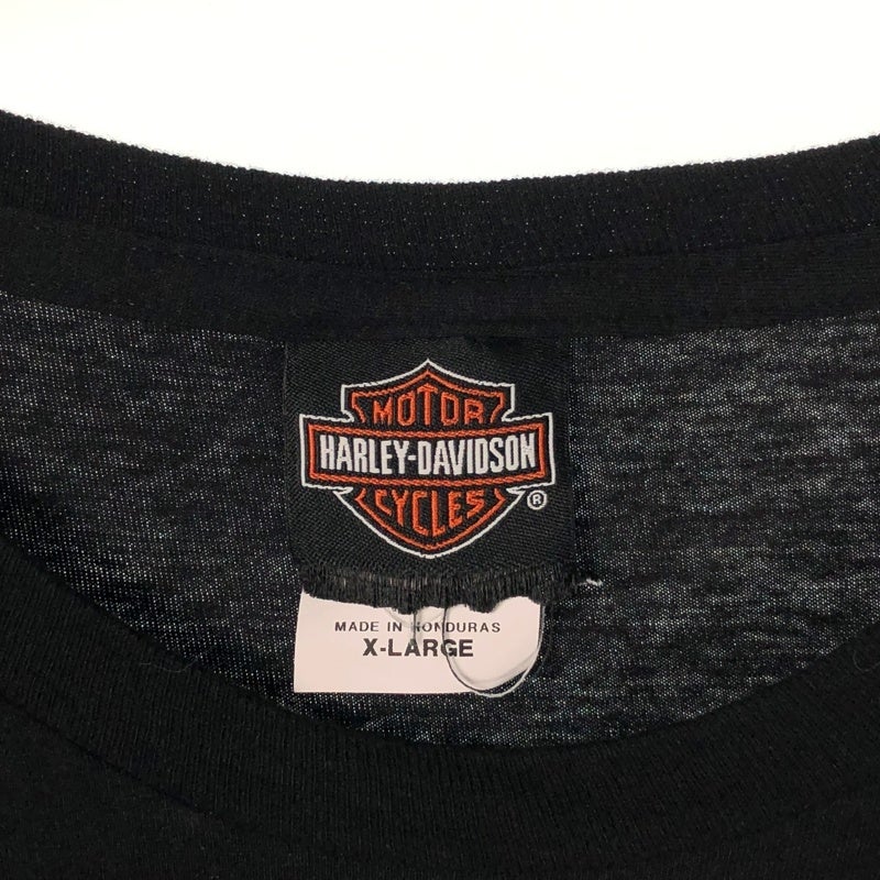 HARLEY-DAVIDSON ハーレー USA製 シングルステッチ Lサイズ HARLEY-DAVIDSON スケッチ風 ライダープリント Tシャツ | Flamingo