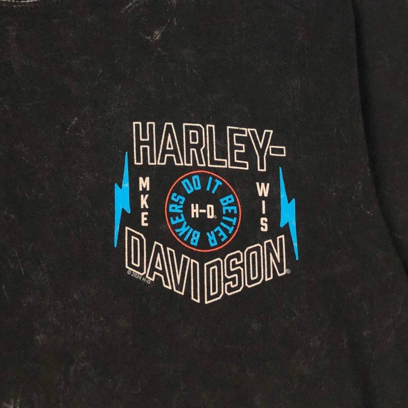 未使用保管品 HARLEY-DAVIDSONロゴジャケット ハーレーフレアーロゴ HARLEY-DAVIDSON ワンポイント ロゴ フェード Tシャツ | Flamingo