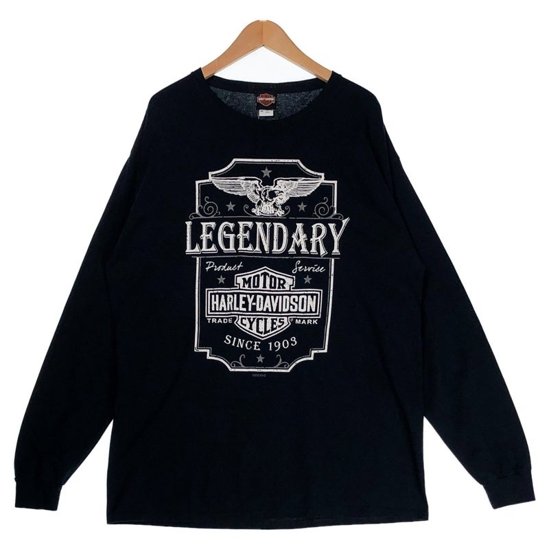 【1点物】greatLAnd×ASKYURSELFハーレーロンt HARLEY-DAVIDSON イーグルプリント ロンT | Flamingo Online 古着屋