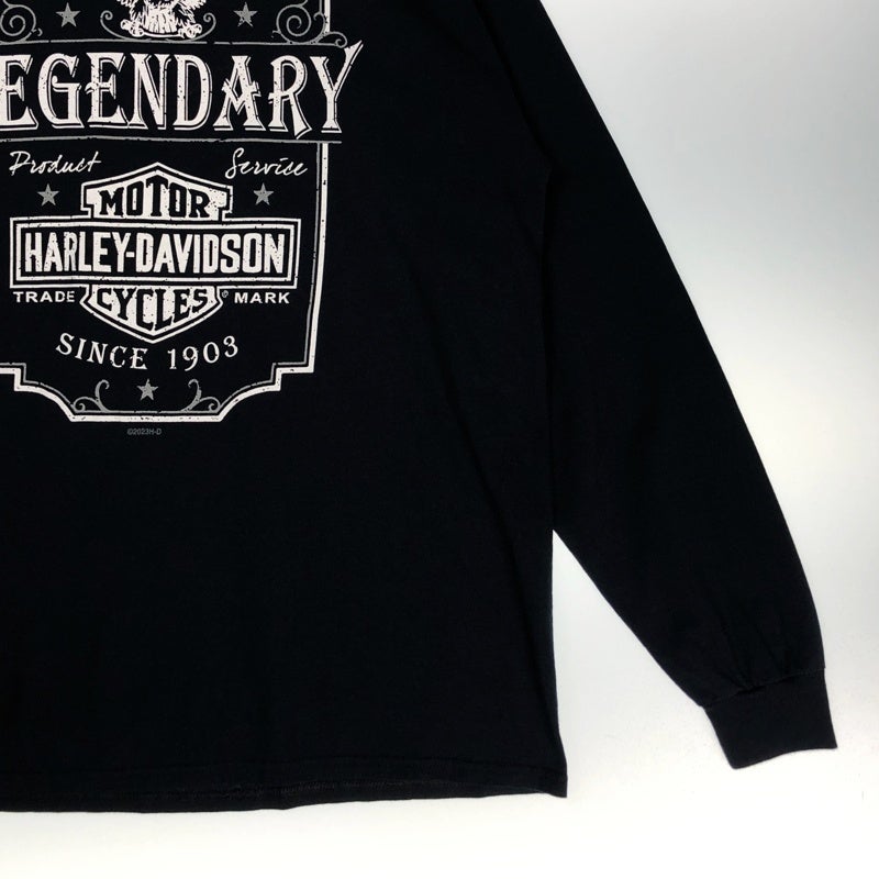 HARLEY-DAVIDSON イーグルプリント ロンT | Flamingo Online 古着屋