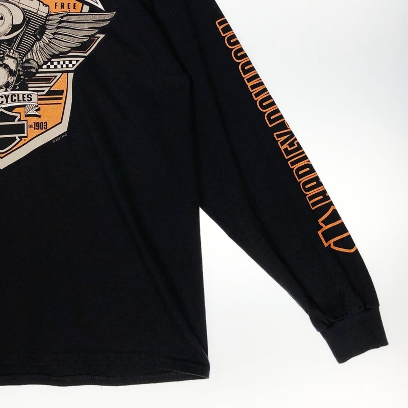 HARLEY-DAVIDSON エンジンプリント ロンT | Flamingo Online 古着屋