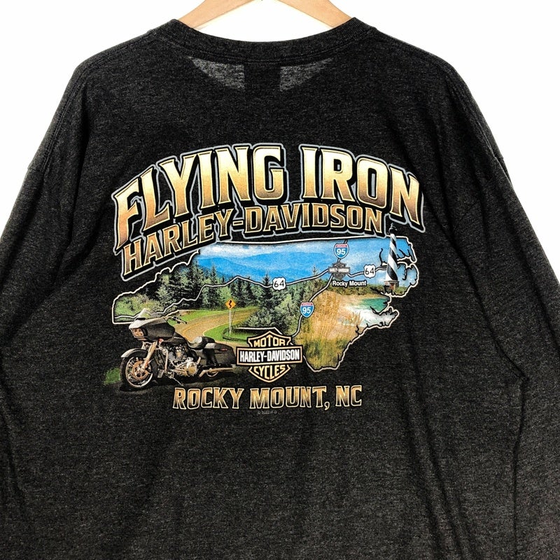 HARLEY-DAVIDSON 袖プリント FLYING IRON ディーラー ロンT | Flamingo