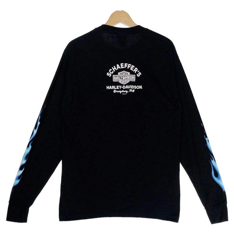 HARLEY-DAVIDSON リーパー系 ファイヤープリント ロンT | Flamingo