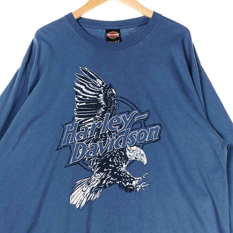 ハーレーダビッドソン ヴィンテージ ロンt tシャツ イーグル トライバル HARLEY-DAVIDSON イーグル トライバルプリント ロンT | Flamingo