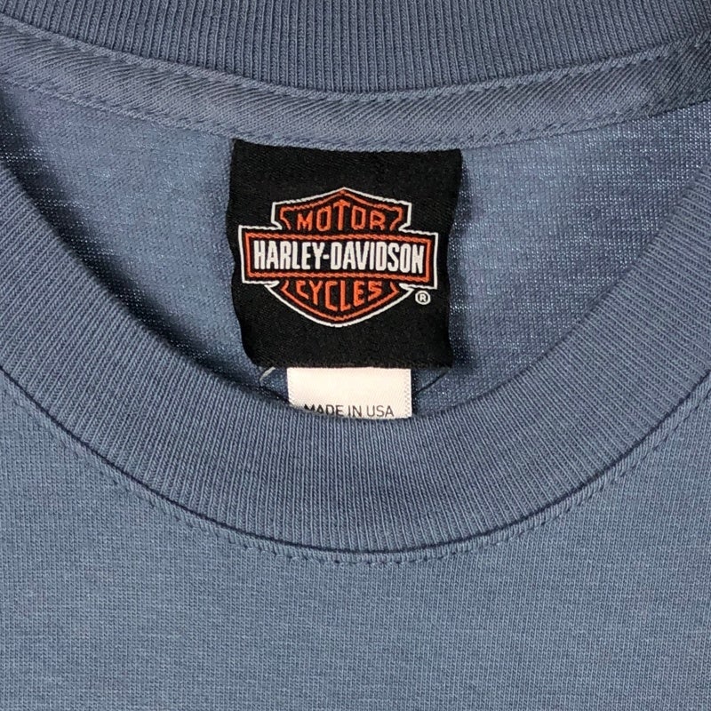 HARLEY-DAVIDSON ゾンビ風スカル コミック プリントTシャツ | Flamingo