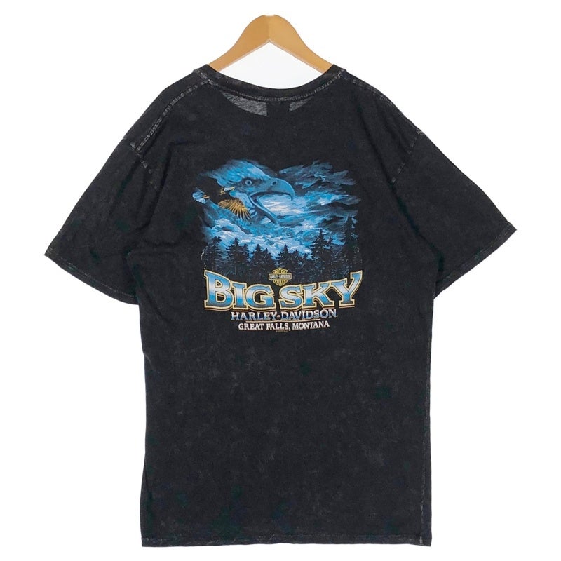 HARLEY-DAVIDSON BISKY イーグルバックプリント フェードTシャツ