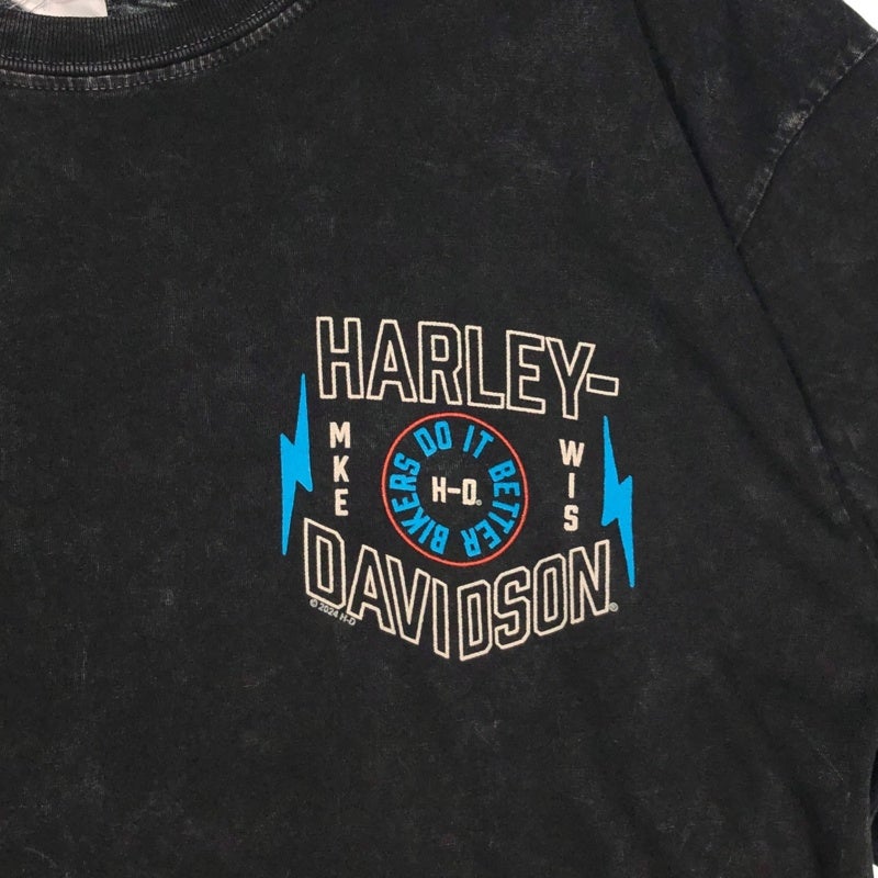 HARLEY-DAVIDSON BISKY イーグルバックプリント フェードTシャツ