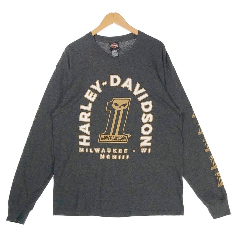 Harley-DavidsonロンＴ HARLEY-DAVIDSON 袖プリント エンジンプリント ロンT | Flamingo