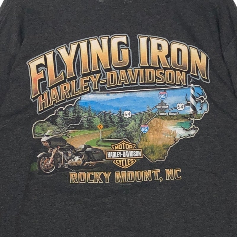 HARLEY-DAVIDSON 袖プリント FLYING IRON ディーラー ロンT | Flamingo