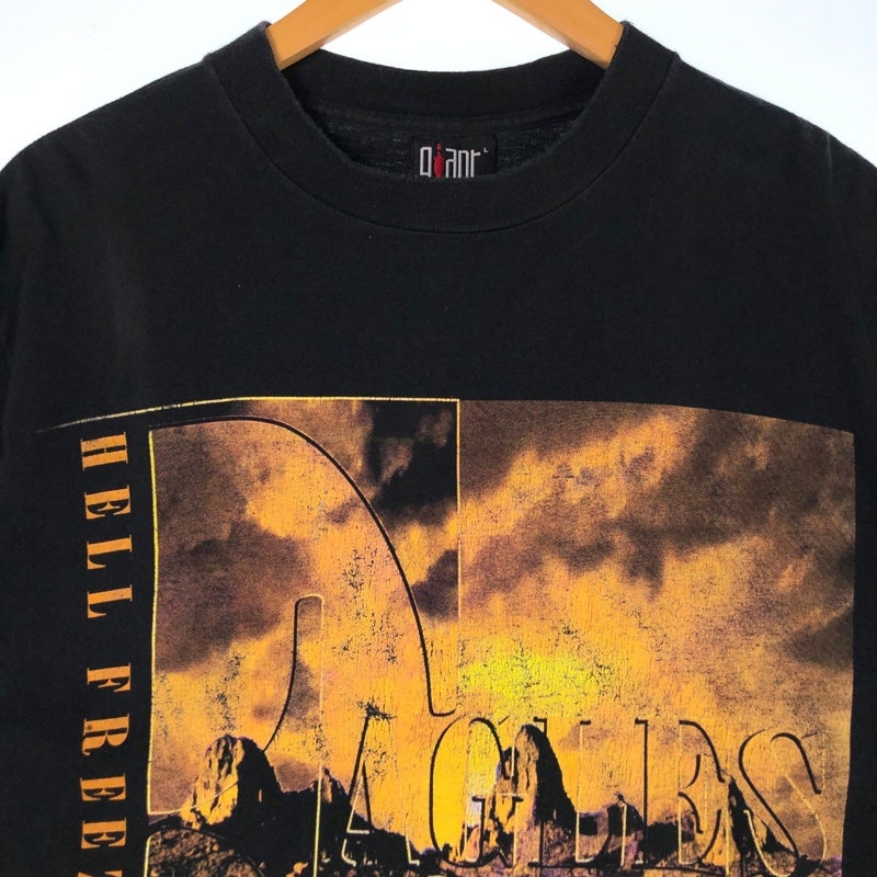 古着 90s GIANT USA製 EAGLES WORLDTOUR1995 バンドTシャツ | Flamingo